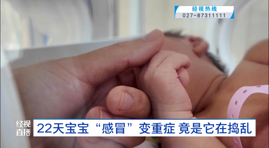 家里有小宝宝的注意了！合胞病毒进入高发期，您了解多少？