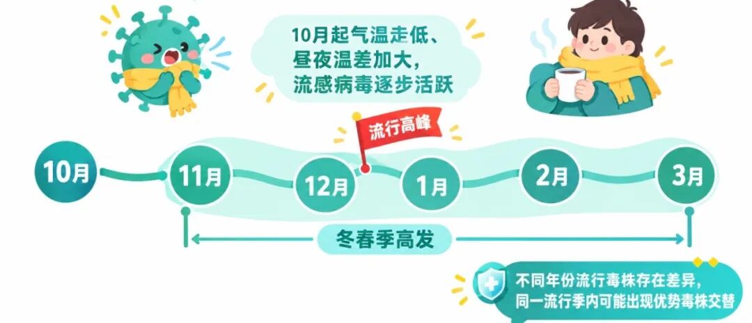 流感高发季节时间轴(青绿渐变+明黄点缀).jpg 流感高发季节时间轴(青绿渐变+明黄点缀).jpg